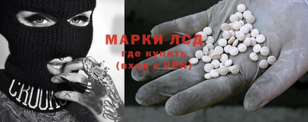 твердый Чегем