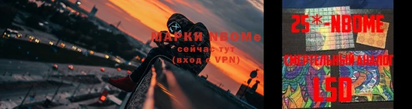 твердый Чегем