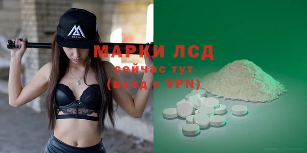 твердый Чегем