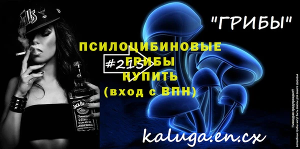apvp Чердынь