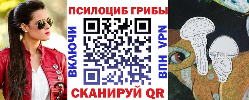 Купить закладки  Собинка  Псилоцибиновые грибы Psilocybine cubensis 